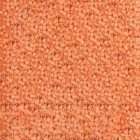 Albaricoque Claro Hama MINI...